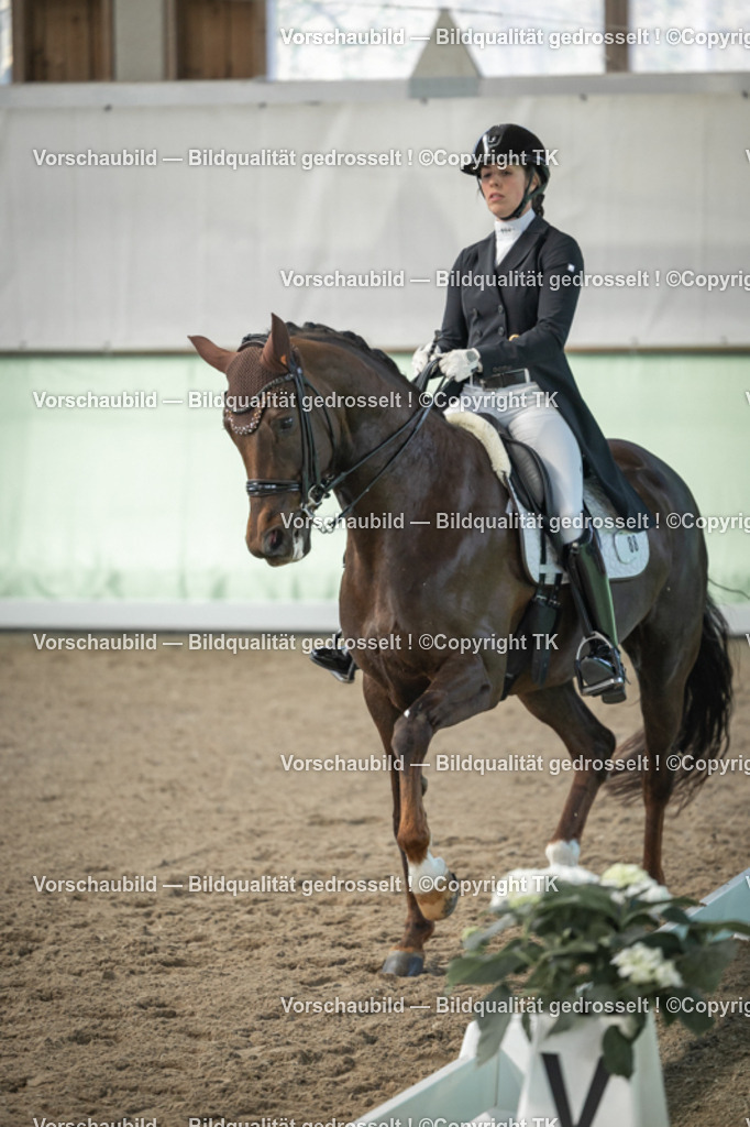 _D5A4882 | Emotionale Pferde- & People-Fotografie rund um Heidelberg, Leimen & Umgebung. Natürliche Fotos von Pferd, Mensch & Familie. Jetzt Termin sichern!