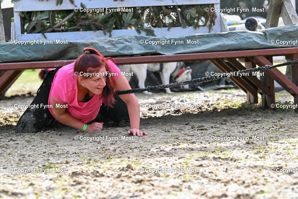 DSC_5512 | Hallo und herzlich Willkommen auf meiner Shop-Seite Fynn Most.

Ich wünsche Dir viel Spaß beim stöbern durch die Bilder, wenn Du Fragen hast oder Bilder vermisst, kannst du mir gerne eine Nachricht schreiben. - Realisiert mit Pictrs.com