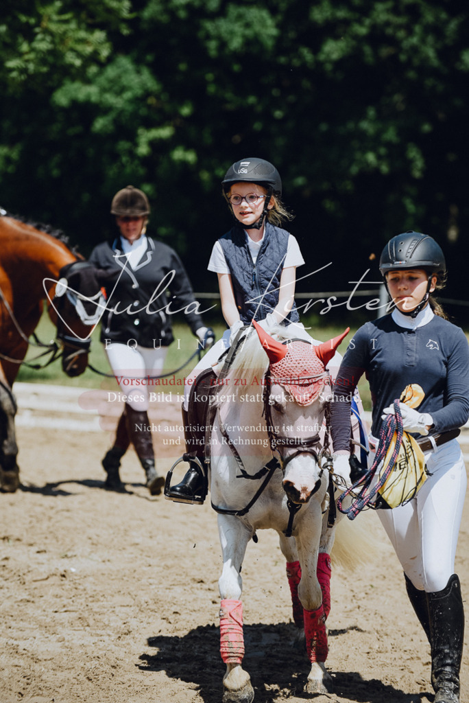 DSC_2711 | Pferde- und Turnierfotografie in Westsachsen. Pferdeportraits, Auftragszeichnungen und intuitive Kunst.