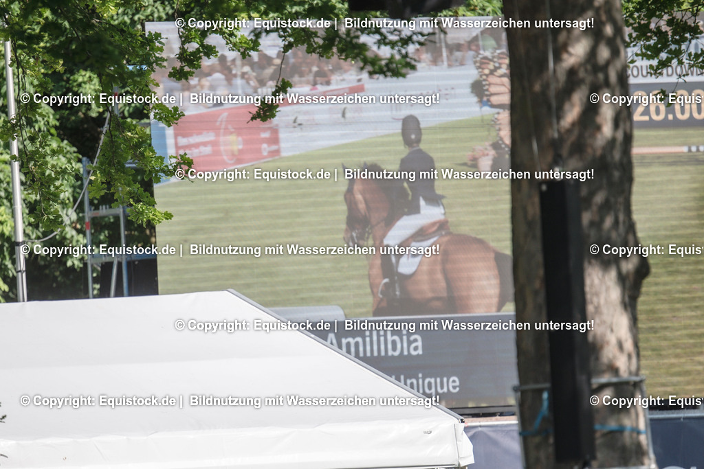 20230528_17_CSI4_Hess.Min.Präs_0199 | equistock