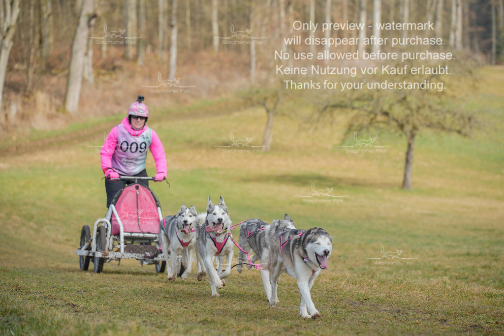 Sa_Gespanne-23 | stephaniefillaphotographie - Realisiert mit Pictrs.com