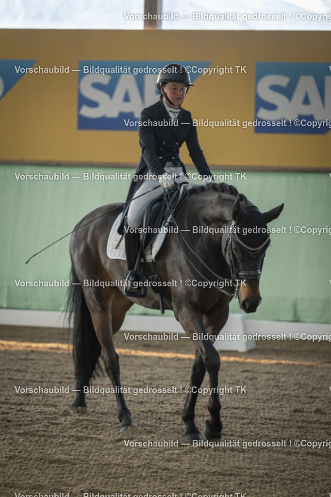 _D5A7717 | Emotionale Pferde- & People-Fotografie rund um Heidelberg, Leimen & Umgebung. Natürliche Fotos von Pferd, Mensch & Familie. Jetzt Termin sichern!