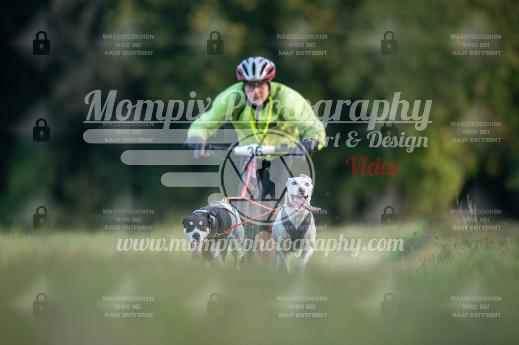 CDLBDB_15_10_2023_Dimanche-69 | mompixphotography