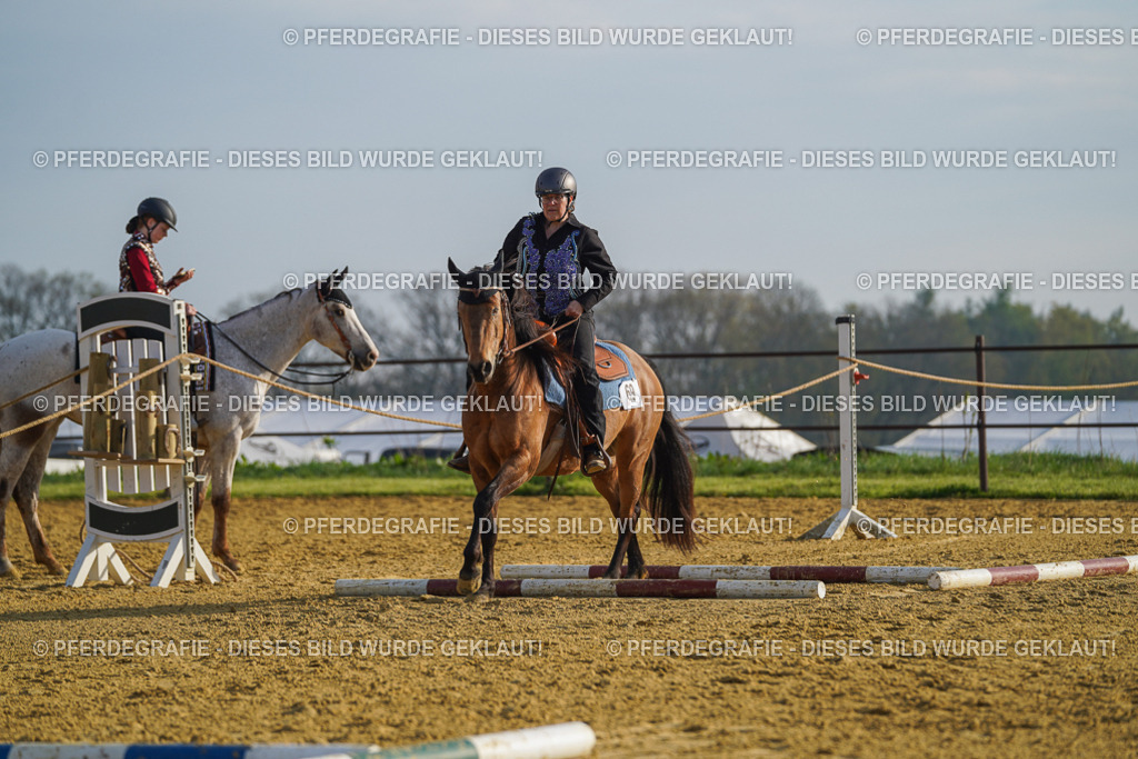 DSC00662 | Pferdegrafie