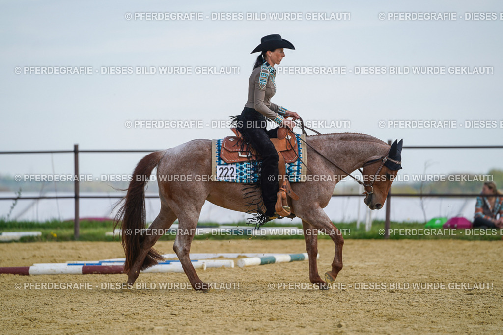 DSC04860 | Pferdegrafie