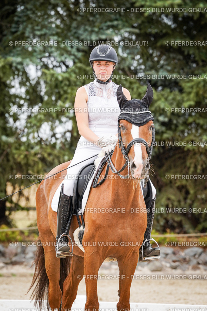 DSC08041 | Pferdegrafie