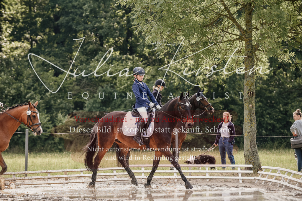 DSC_9167 | Pferde- und Turnierfotografie in Westsachsen. Pferdeportraits, Auftragszeichnungen und intuitive Kunst.