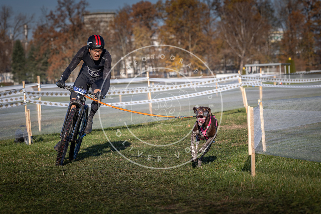 CaniXpix_0L8A4266 | Hundefotografie, Tierfotograf, Pfotenfotografie, Fotoshooting Hund, Hunde Portrait, Hundesport, Hundeportraits, Heideshooting, Hunde, Sportfotograf, Hundefotograf, Turnierhundsport, THS,  - Realisiert mit Pictrs.com