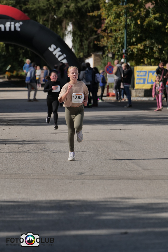 D (463) | Foto Buchgraber