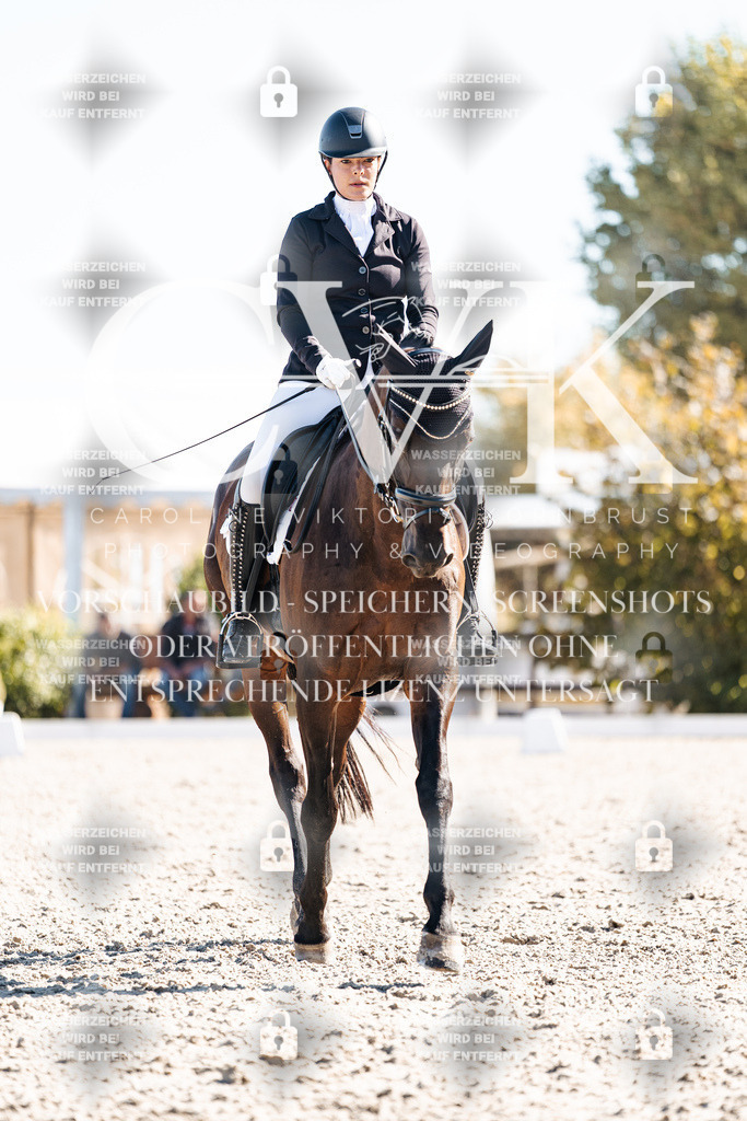 CK908751 | Turnierfotografie Pferdefotografie Trier Rheinland-Pfalz Pferdesport Reitsport Tierfotografie Sportfotografie Pferdevideo Pferdevideografie Equestrianvideography equestrianphotography  - Realisiert mit Pictrs.com