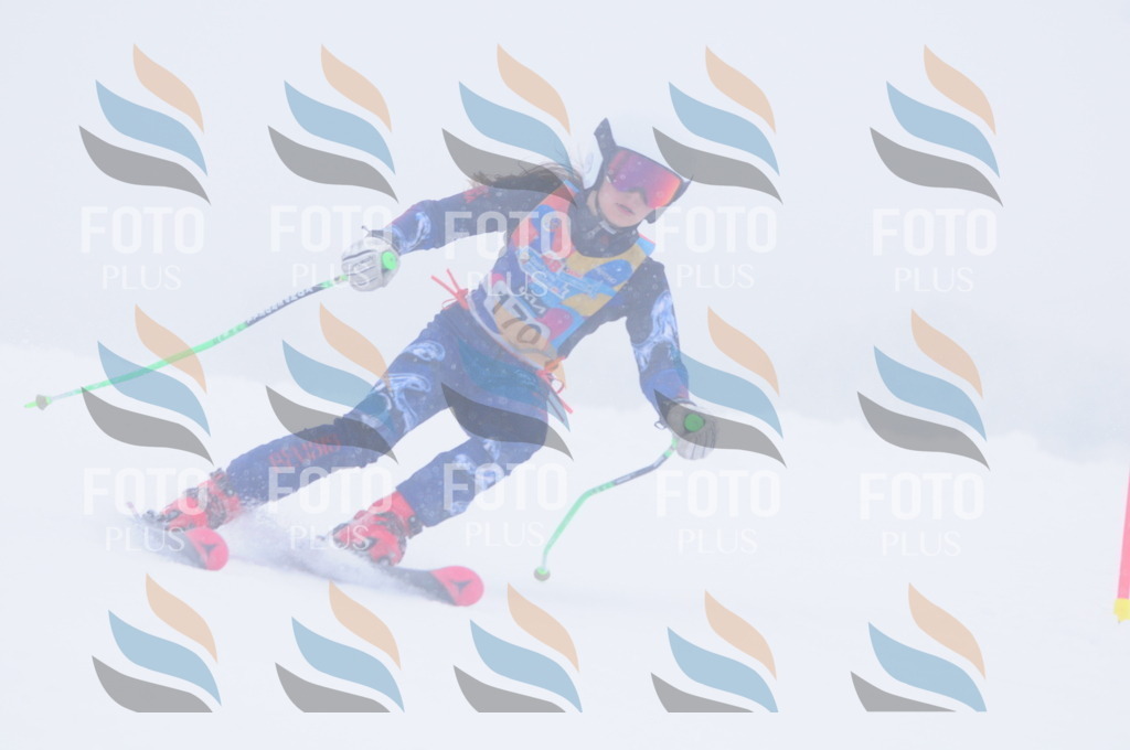 C1992 | holidayphoto