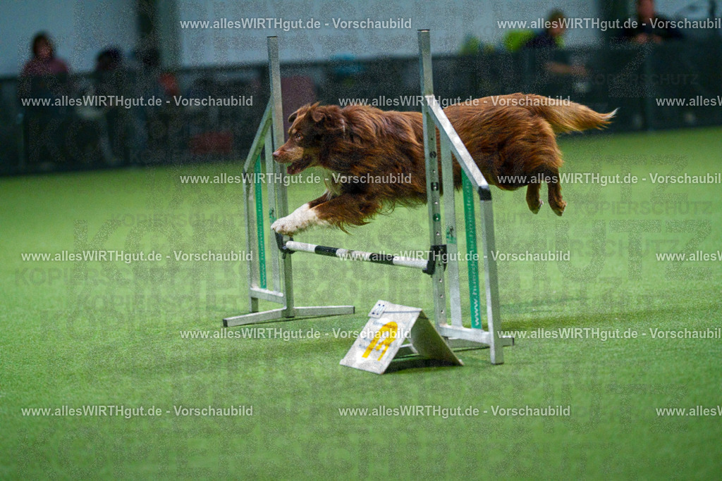 7R500878 | Professionelle Tierfotografie in Mönchengladbach von Daniel Wirth (allesWIRTHgut). Liebevolle & natürliche Bilder von Hunden & Katzen für unvergessliche Erinnerungen.