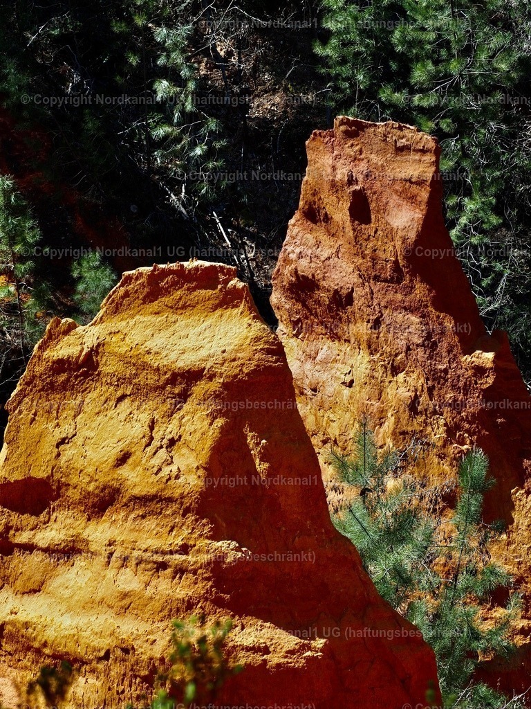 IMG_2968 | OLYMPUS DIGITAL CAMERA          - Realisiert mit Pictrs.com