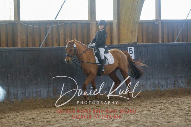 IMG_1544 | Turniersportfotografie; Pferdefotografie; Dressurfotografie