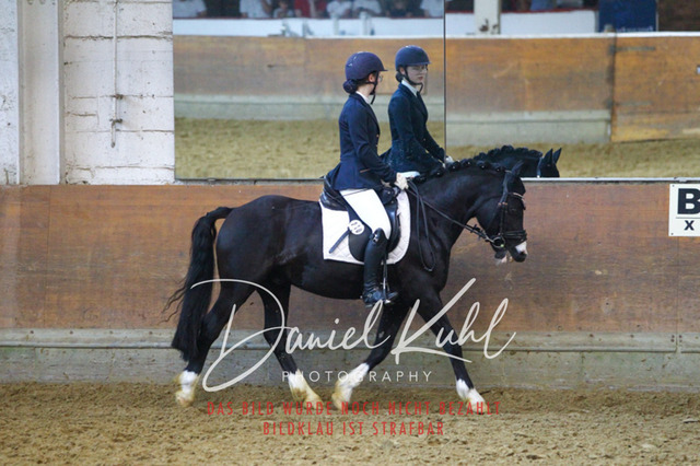 DKP44253 | Turniersportfotografie; Pferdefotografie; Dressurfotografie