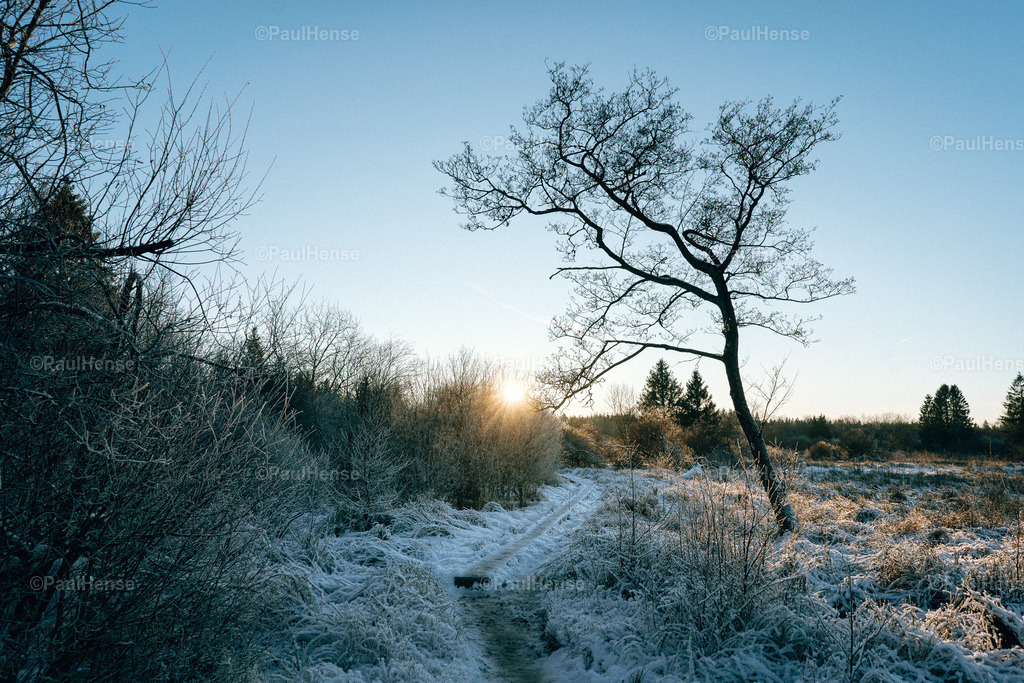 20221217_0001_PaulHense_DSC06270 | paulhense - Realisiert mit Pictrs.com