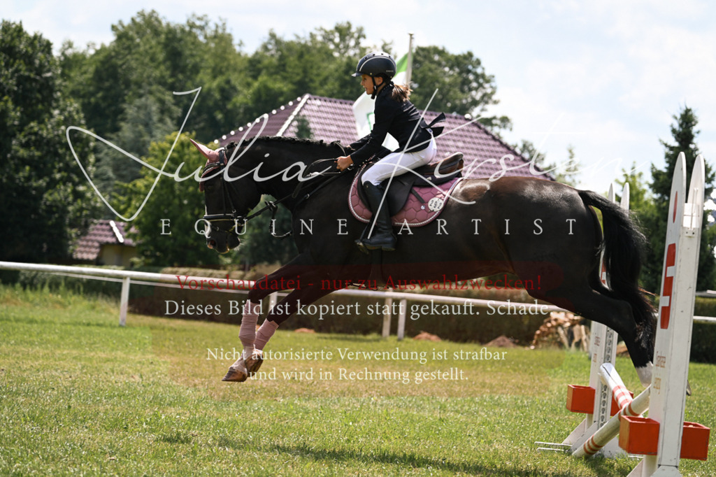 DSC_9362 | Pferde- und Turnierfotografie in Westsachsen. Pferdeportraits, Auftragszeichnungen und intuitive Kunst.