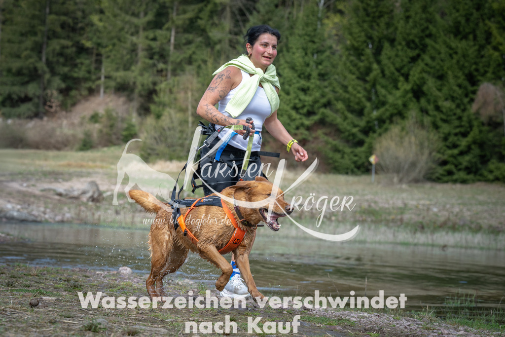 1100_ZZ92691 | kk-dogfotos