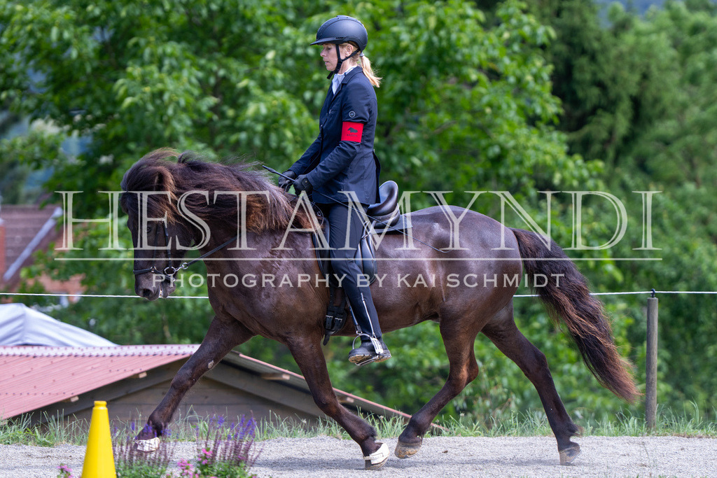 KAI02517 | Ihr sucht einen Fotografen für eure nächste OSI? Ich begleite auch euer Turnier für Islandpferde fotografisch.  - Realisiert mit Pictrs.com