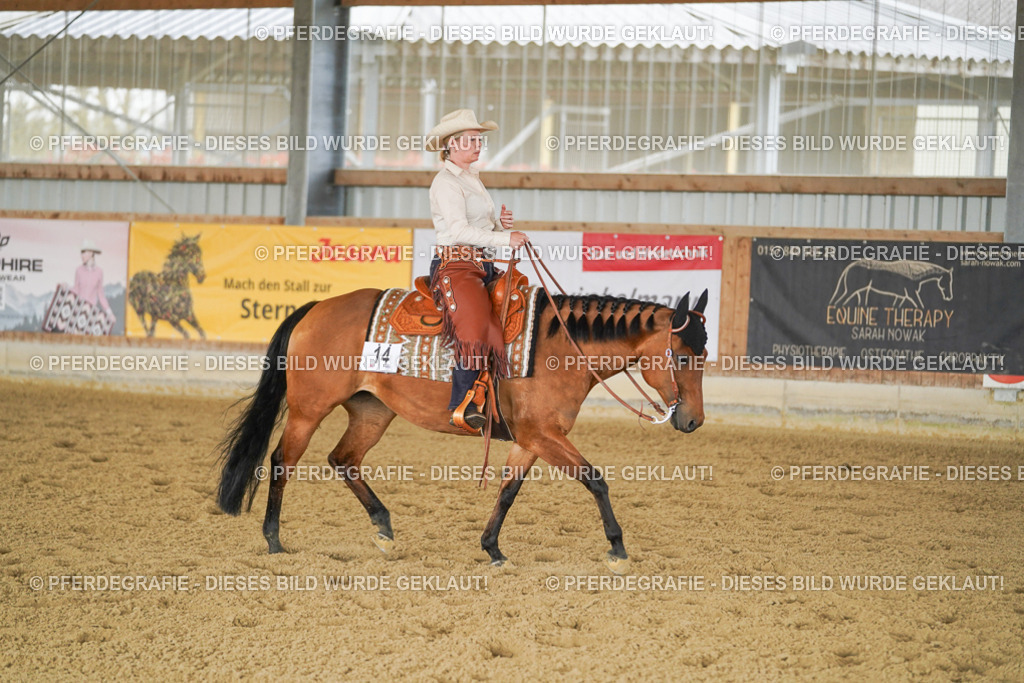 DSC03077 | Pferdegrafie