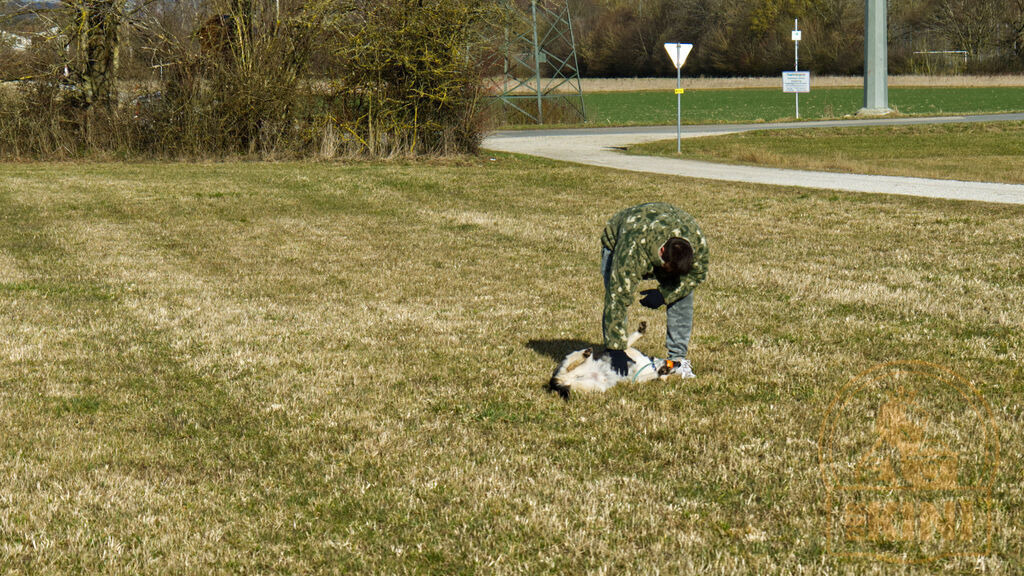 P1340253-1 | Foto, Natur, Tiere, Urlaub, Georgien,  - Realisiert mit Pictrs.com