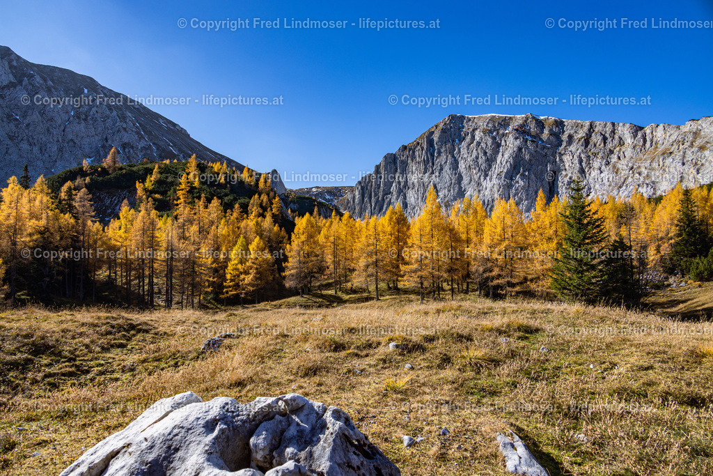 Kastenriegel Graualm Rundtour ueber Rosshoelle Bschlagstatt_Hohe Weichsel Hochschwabgebiet 27102021-0714 | Fotos und Fotoprodukte - Realisiert mit Pictrs.com