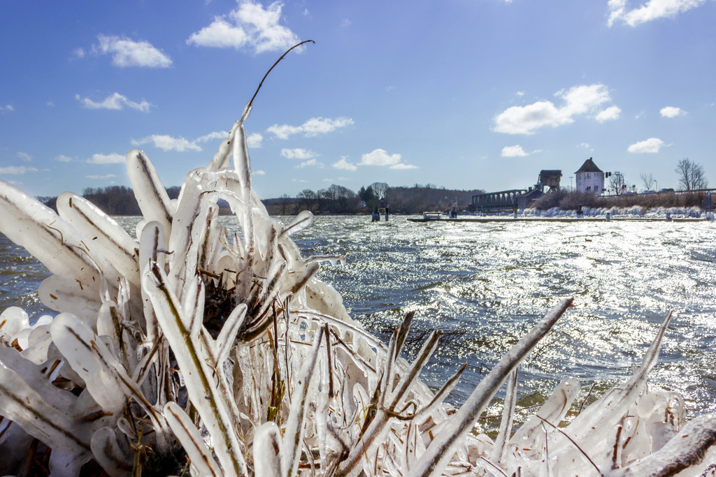 Wandbild: Vereistes Schleiufer in Lindaunis an der Schlei | Dieses Wandbild im Querformat zeigt vereiste Gräser im Uferbereich der Schlei in Lindaunis. Im Hintergrund ist die Lindaunisbrücke zu sehen. - Realisiert mit Pictrs.com