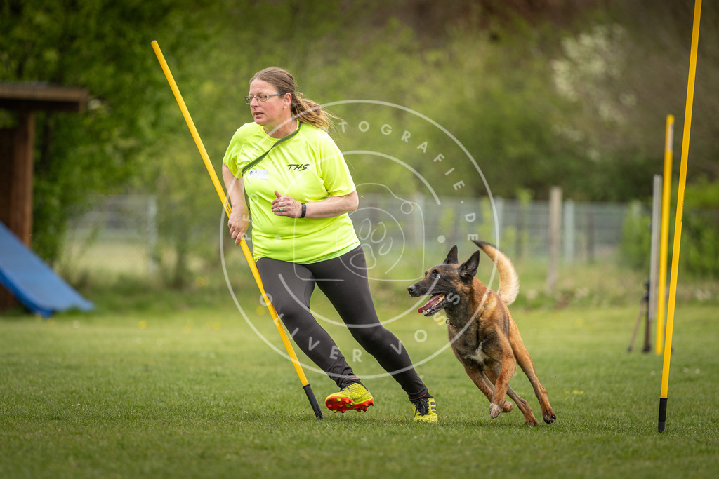 Pfotenfotografie_DV3A9526 | Hundefotografie, Tierfotograf, Pfotenfotografie, Fotoshooting Hund, Hunde Portrait, Hundesport, Hundeportraits, Heideshooting, Hunde, Sportfotograf, Hundefotograf, Turnierhundsport, THS,  - Realisiert mit Pictrs.com