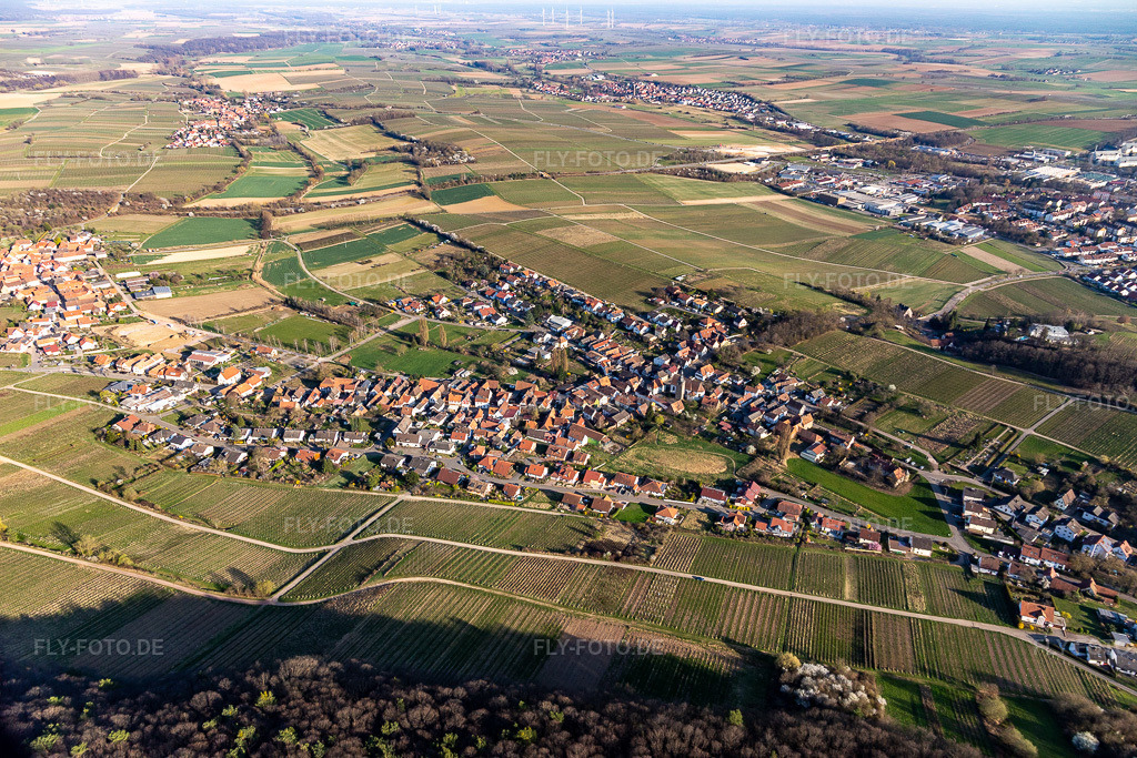 Luftbild: Winzerort aus Westen im Ortsteil Pleisweiler in Pleisweiler-Oberhofen im Bundesland Rheinland-Pfalz in Deutschland. Foto: IMG_130908.jpg vom 22.03.2022 durch Werner Riehm/FLY-FOTO.de