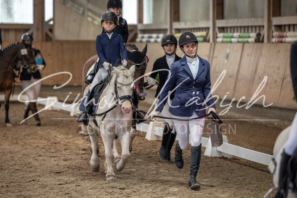 20251011-_3LI8868 | Tierfotografie Pferde, Hunde, Katzen, Haustiere.
Turnierfotografie Reitturniere, Reiten, Springreiten, Dressur in Hanau, dem Main-Kinzig-Kreis und dem Rhein-Main- Gebiet um Frankfurt