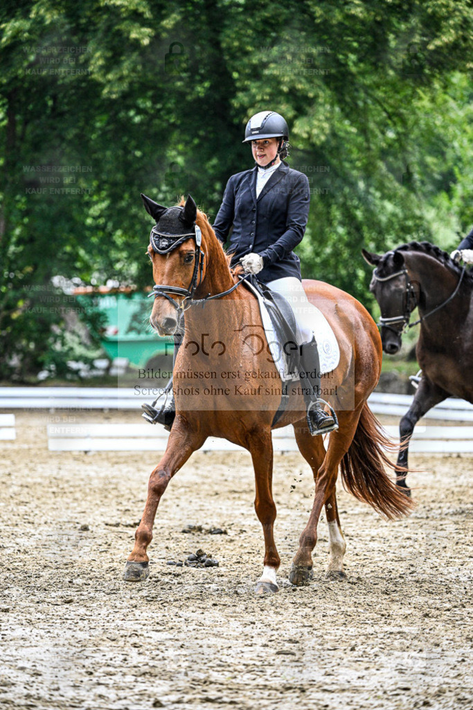 Bissendorfer Reitertage | Entdecke hochwertige Reitturnierfotos von Foto Oger. Professionell, emotional und authentisch – jetzt Lieblingsmomente im Shop bestellen. - Realisiert mit Pictrs.com