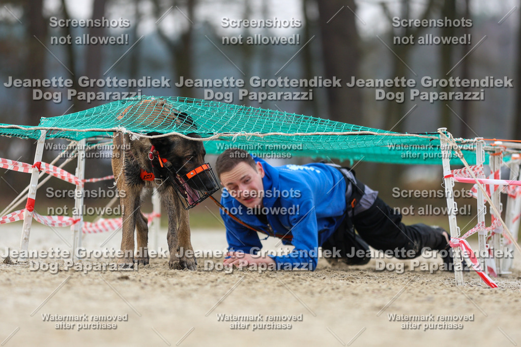 Dog Paparazzi - Strongdog North Mrz26-4535 | Dog Paparazzi Jeanette Grottendiek Fotografie & Videografie - Realisiert mit Pictrs.com
