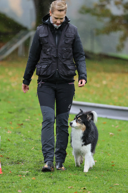 2025_Rally_Obedience_SM-15 | Ich fotografiere Hundeausstellungen, Sportanlässe, Zuchtstätten, Hundezucht, Hundeportrait, Lagotto - Realisiert mit Pictrs.com