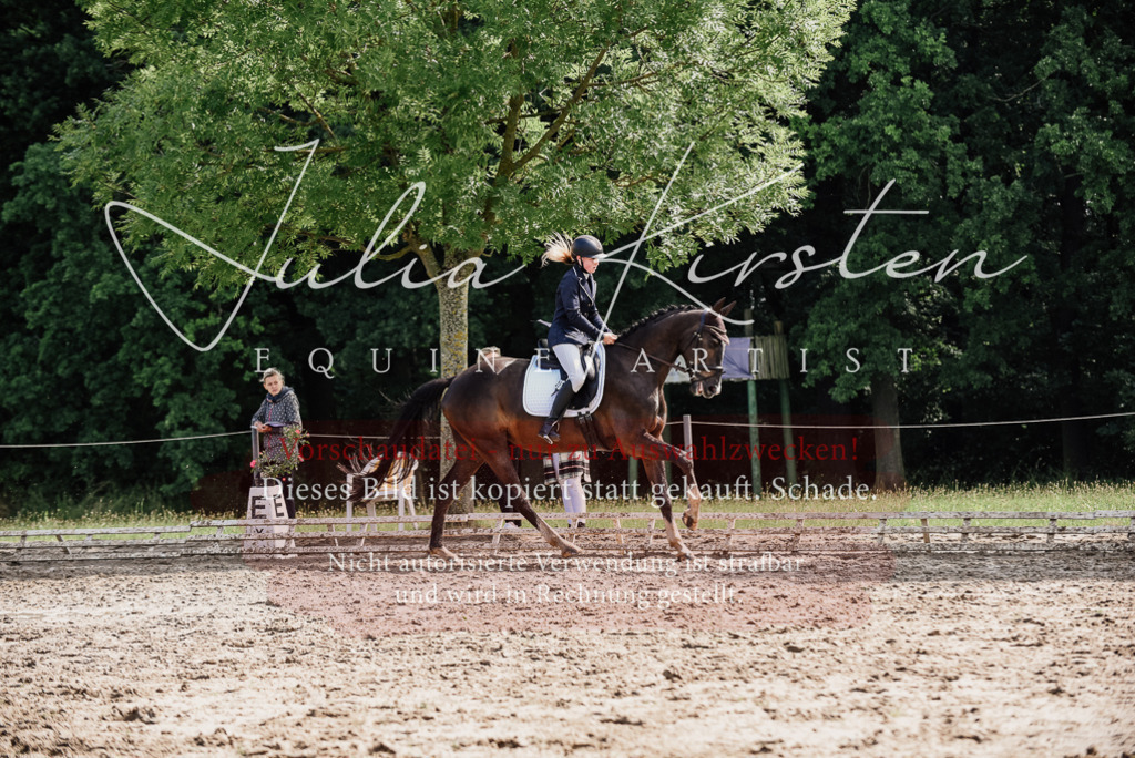 DSC_0121 | Pferde- und Turnierfotografie in Westsachsen. Pferdeportraits, Auftragszeichnungen und intuitive Kunst.