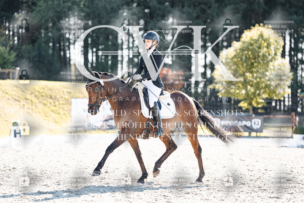 CK906252 | Turnierfotografie Pferdefotografie Trier Rheinland-Pfalz Pferdesport Reitsport Tierfotografie Sportfotografie Pferdevideo Pferdevideografie Equestrianvideography equestrianphotography  - Realisiert mit Pictrs.com
