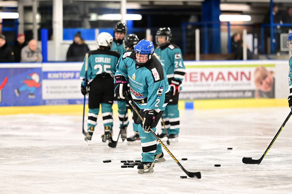 Eishockey I Frauen I Saison 2023-2024 I Testspiel I TuS Harsefeld Tigers - Crocodiles Hamburg | Der Sportfotograf. - Realisiert mit Pictrs.com
