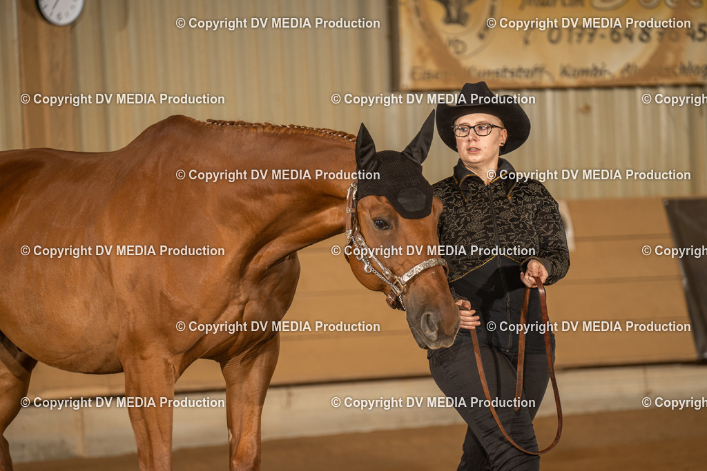 NID02347 | dv-media-shop - Realisiert mit Pictrs.com