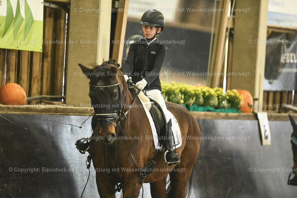 20231029_02_Reiter-WB_Schritt-Trab-Galopp_Abteilung-03_0036 | Foto: Thomas Hartig