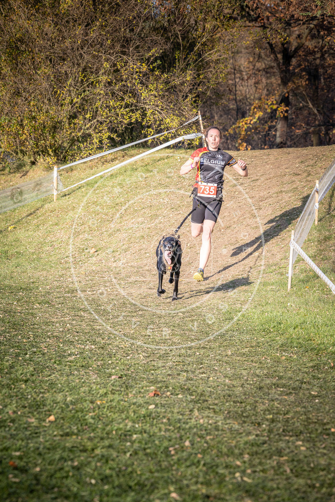 CaniXpix_0L8A9713 | Hundefotografie, Tierfotograf, Pfotenfotografie, Fotoshooting Hund, Hunde Portrait, Hundesport, Hundeportraits, Heideshooting, Hunde, Sportfotograf, Hundefotograf, Turnierhundsport, THS,  - Realisiert mit Pictrs.com