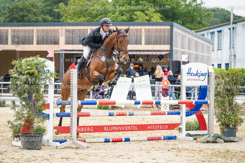 DSC00346 | Pferdegrafie