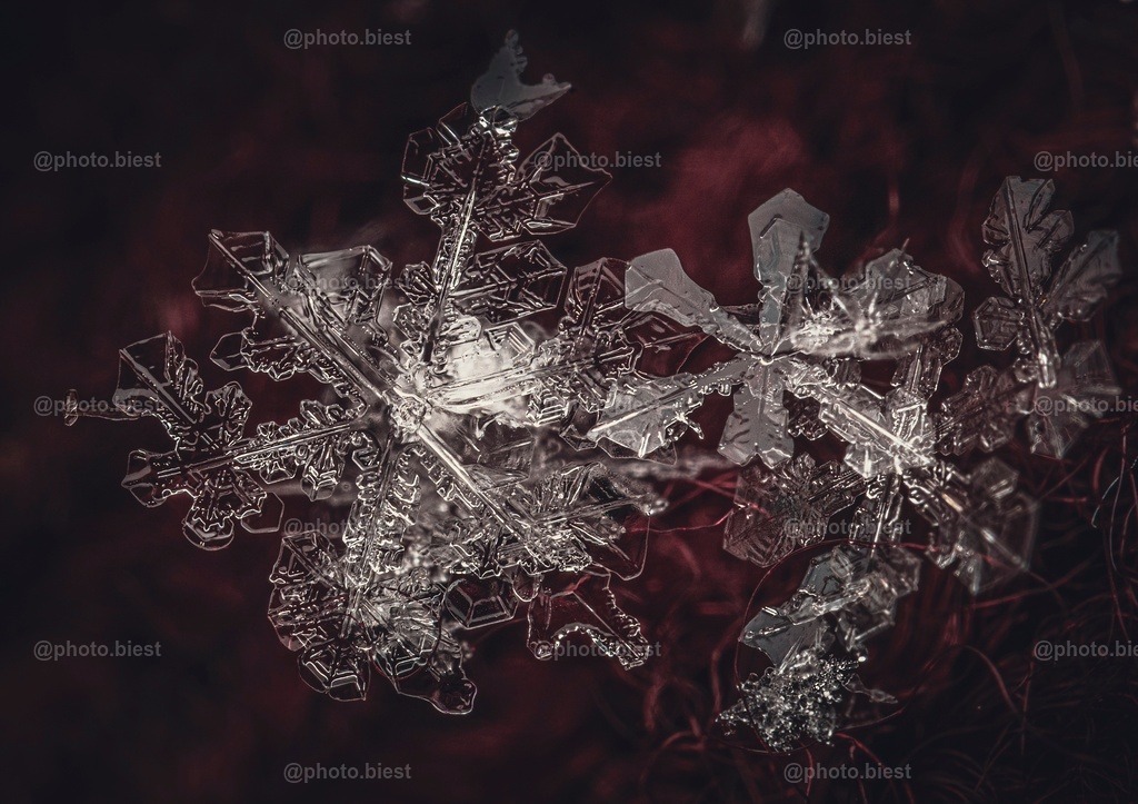 Schneeflocke #20 | Eine (von vielen) filigranen Schneeflocken in meinem ersten Makro-Schneeflocken-Winter. - Realisiert mit Pictrs.com