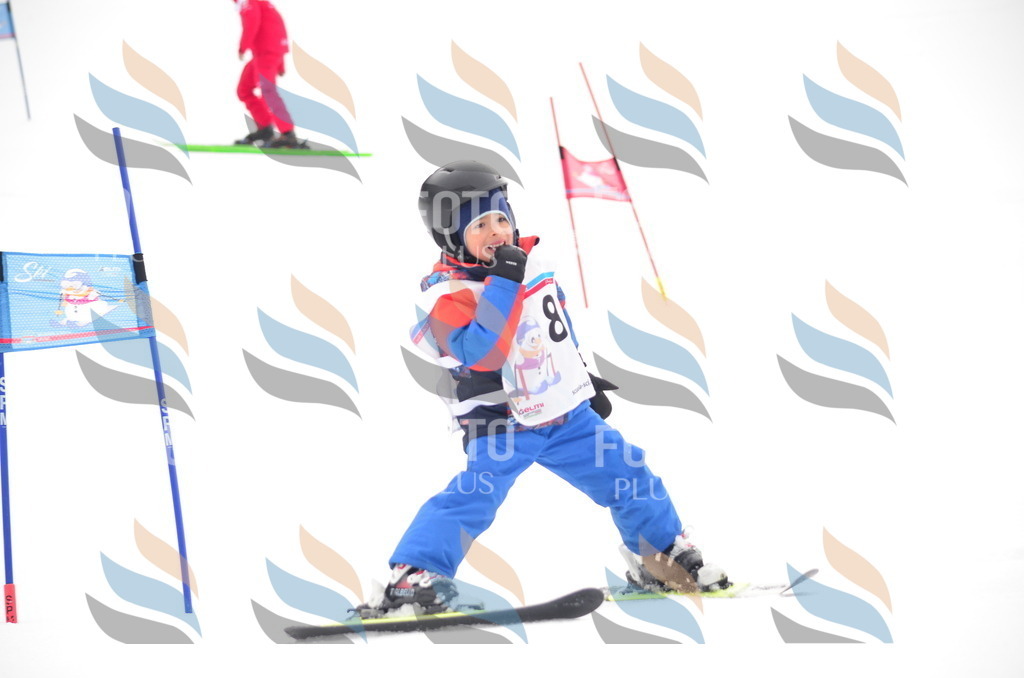 B8965 | holidayphoto