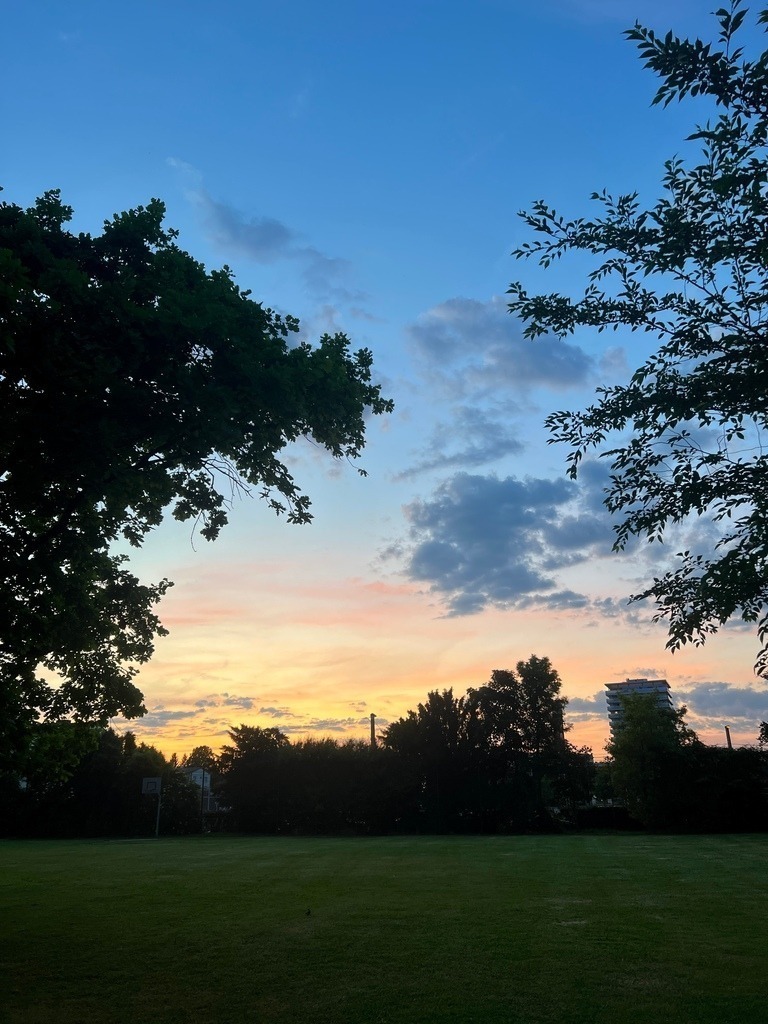 IMG_7035 | ace - Realisiert mit Pictrs.com