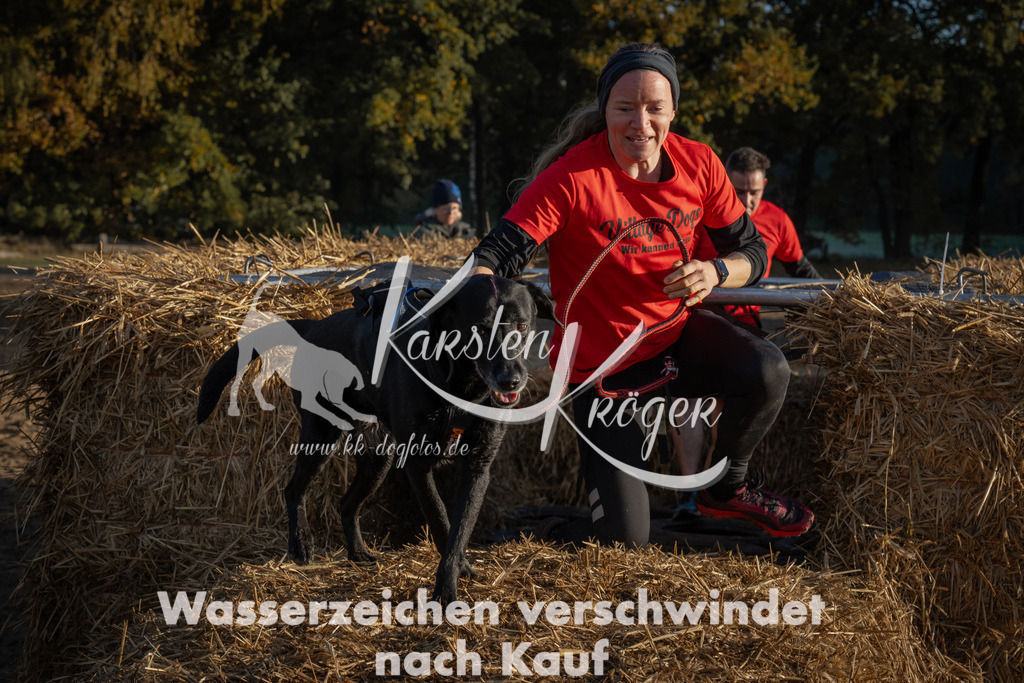 0939_ZZ94146 | kk-dogfotos