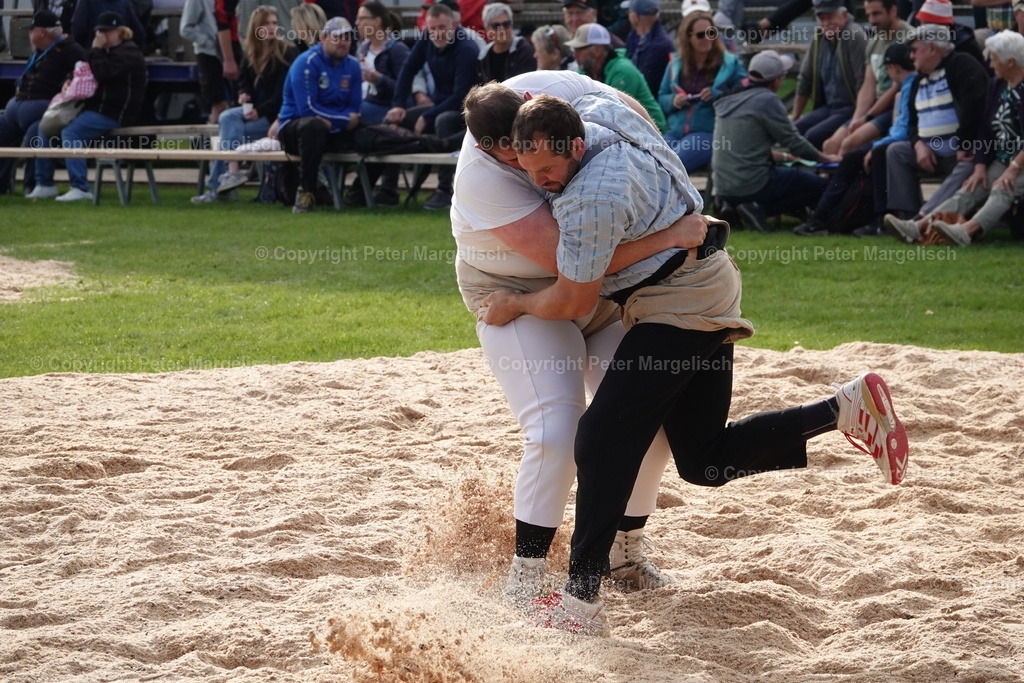 DSC08455 | Schwingen - Realisiert mit Pictrs.com