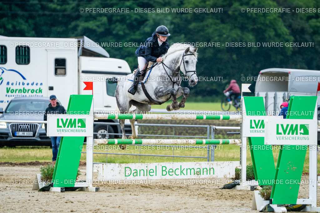 DSC00603 | Pferdegrafie