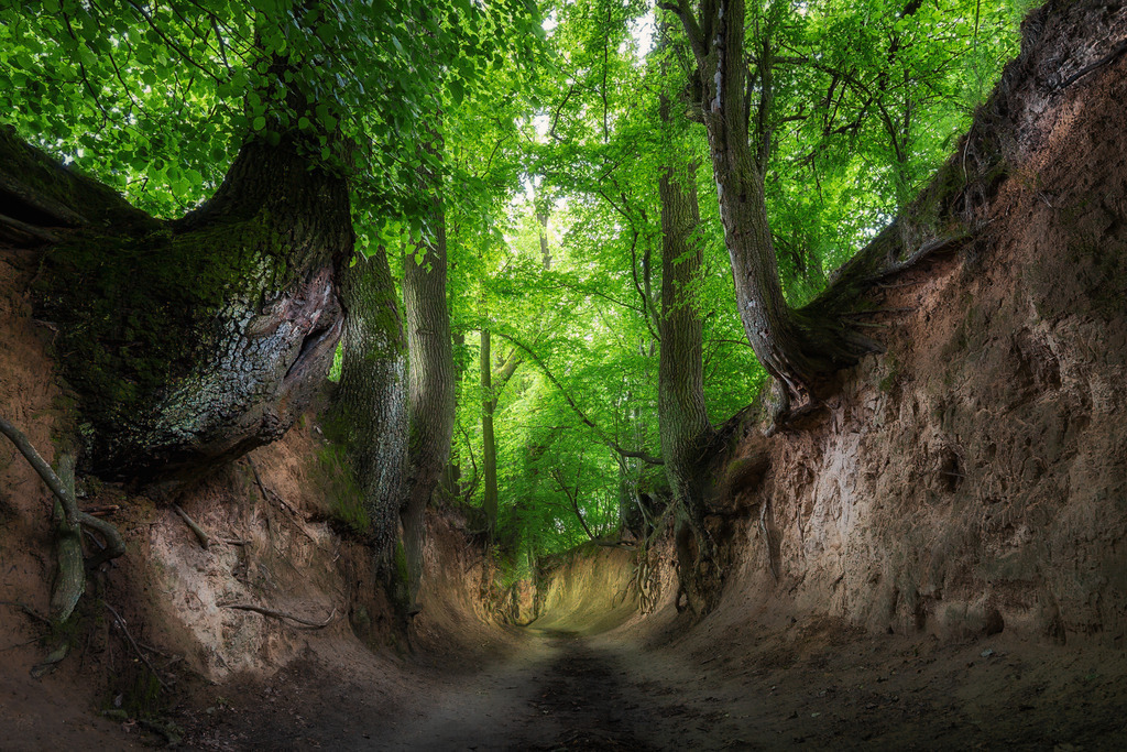 Kazimierz Dolny 2 | Landschaftsfotografien und Naturfotografien (Schweiz, Europa) auf Leinwand, Postkarten und Poster. Wähle dein Lieblingsfoto und entscheiden selber, welches Fotoprodukt du bestellen willst. Grosse Auswahl an Karten zum Versenden und Verschenken. - Realisiert mit Pictrs.com