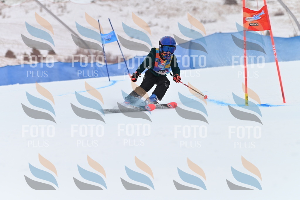 BGV_9569 | holidayphoto