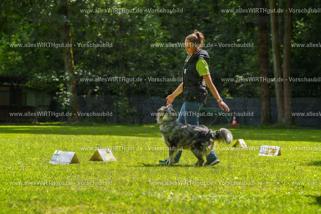 @allesWIRTHgut_Tierfotografie - www.allesWIRTHgut.de - 7R505863 | Professionelle Tierfotografie in Mönchengladbach von Daniel Wirth (allesWIRTHgut). Liebevolle & natürliche Bilder von Hunden & Katzen für unvergessliche Erinnerungen.