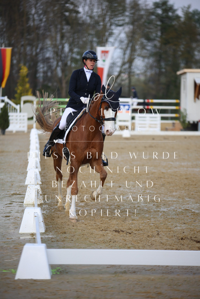 IMGT8496 | pl-fotografie